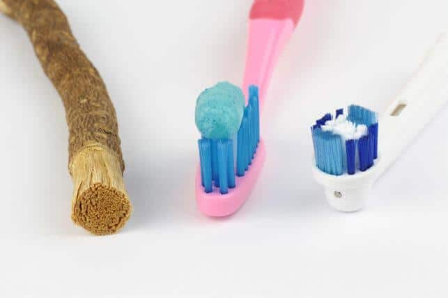 chewing sticks a quick history of the toothbrush 63a31c4447c6a